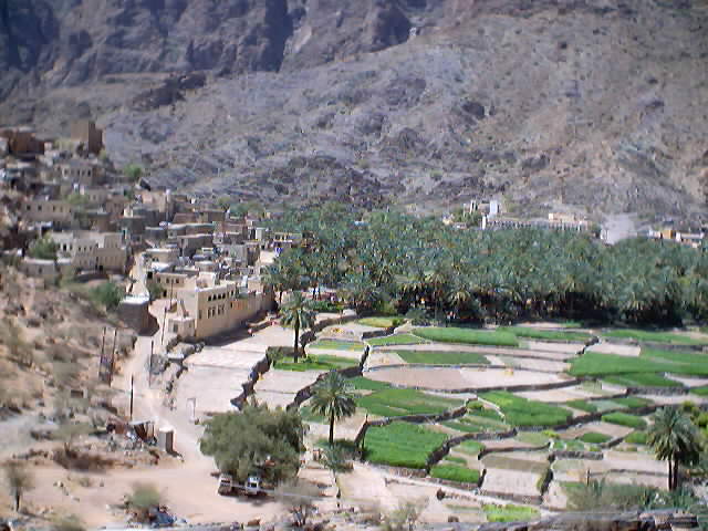 belad_seat__0013.jpg
