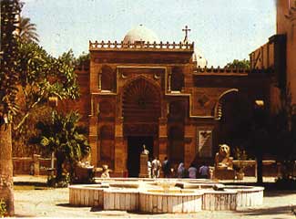 coptmus.jpg
