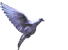 dover22.gif