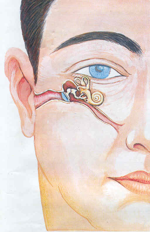earnosethroat.jpg