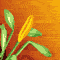 flwfriend_60.gif