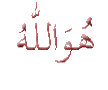 i85432r23060140u52737.gif