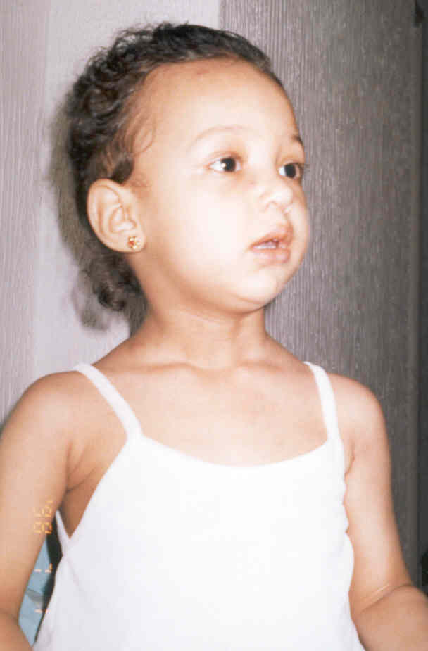 rania.jpg