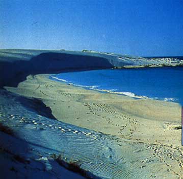 res28a.jpg
