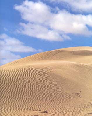 sinai3.jpg