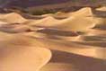 sinai5s.jpg
